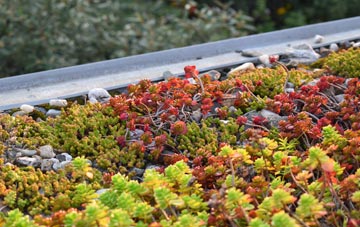 the cost of Clayton Le Dale green roof installation