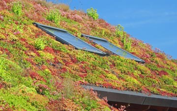 Clayton Le Dale living roof systems