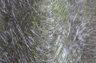 Clayton Le Dale fibreglass roof work